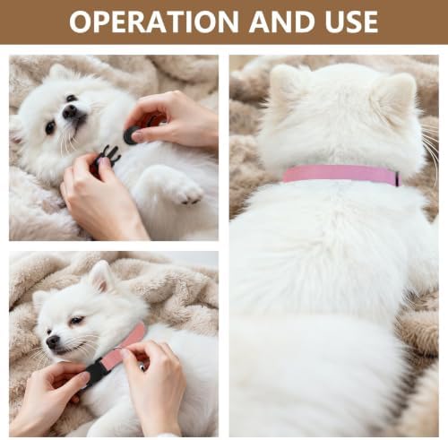 Cool Trendy Gradient Purple Puppy Collar 2 Pack Comfortable Cat Collar Adjustable Length 10.6" to 17.1"
