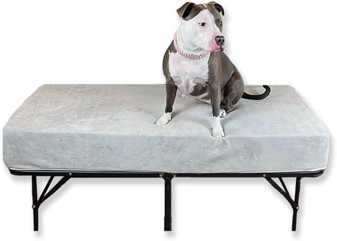 Mattress Extender for Queen Beds - Elevated/Raised Foam Dog Bed Extension (8" Height, White)