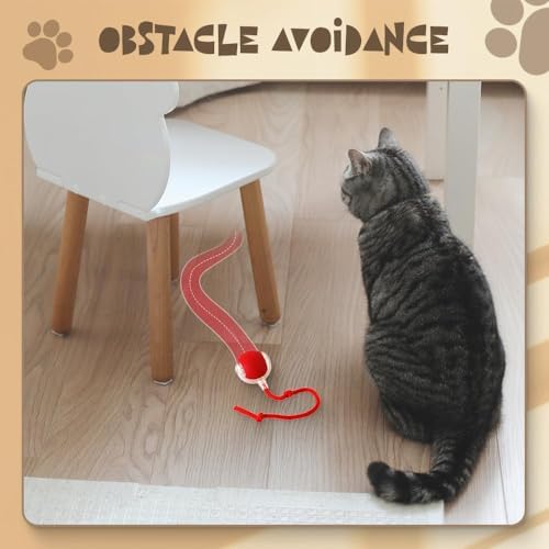 Interactive 2025 Upgraded Version Dog & Cat Toy, Intelligent Automatic Rolling Ball (Green)