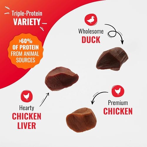 Good 'n' Tasty Kabob Bites Soft & Chewy Dog Treat, 4 oz (12 Pack)