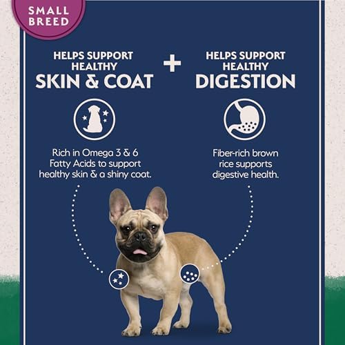 Natural Balance Limited Ingredient, Small Breed, Lamb & Brown Rice, 4 lb