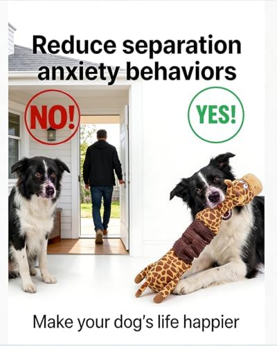 3-in-1 Squeaky Dog Toys for Chewers, for Small Medium Breed