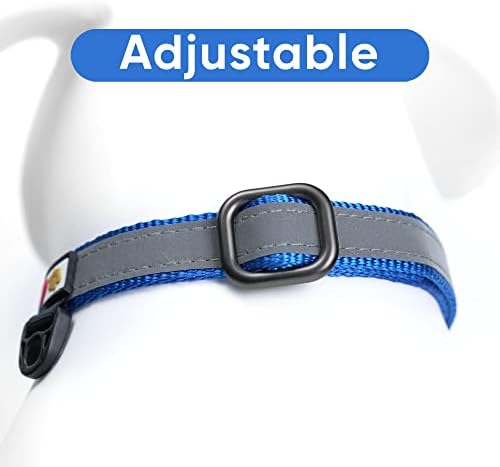 Pawtitas Personalized Dog Collar Martingale Dog Collar with Name Phone Number Reflective Martingale Dog Collar Customized Collar for Small Dogs | Blue Custom Dog Collars for Small Dogs