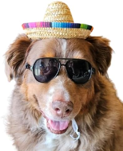 C22 Dog Pet Costume Set Sunglasses Glasses + Sombrero Mexican Straw Hat Medium Breeds 18-40 lbs Prop Cosplay (Aviator Black + Mexican Straw Hat)