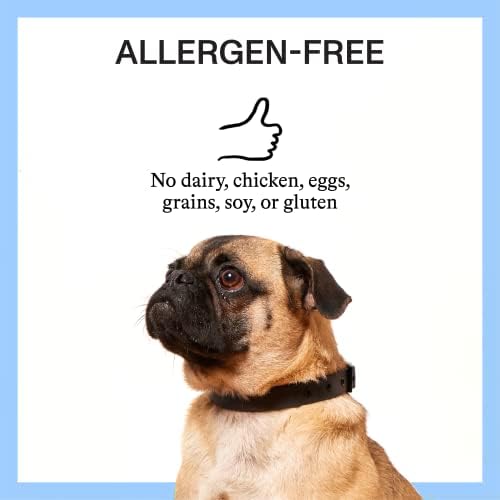 Spot & Tango Calming Supplements for Dogs - Vet-Approved for Anxiety and Stress Relief - L-Theanine, Passionflower, Ashwagandha, Chamomile - Flavored with Real Pineapple, 56 Count
