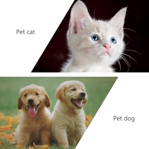 DOITOOL Cat Puppy Feeding Toy Slow Food Dispenser Rotating Windmill Treat Feeder Interactive Iq Puzzle 5.12 Inch for Healthy Eating