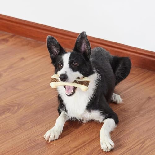 Dog Chew Bones Toys for Aggressive Chewers, 6 Pack Real Beef Flavor Bones,Indestructible Dog Toys for Large/Medium Breed, NylonToys