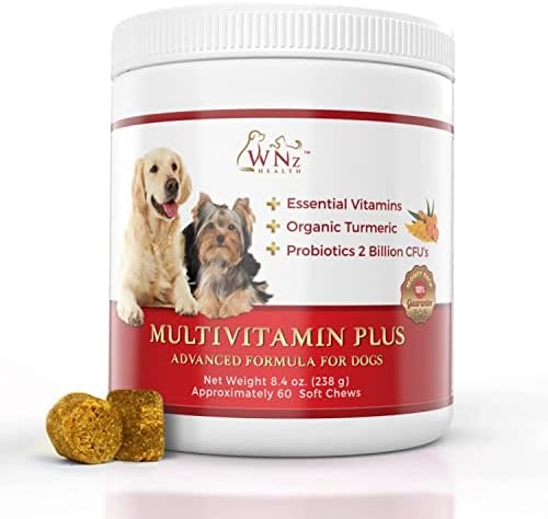Dog Multivitamins and Supplements, Probiotics for Dogs w/Turmeric & Yucca, Probiotic Dog Chews for Brain Function, Gut & Immune Support, Joint Health & Anti-Inflammatory Supplement, 60 Chews, 8.4 oz