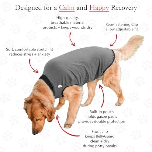 BellyGuard Dog Surgery Recovery Suit, Male Female After Spay Neuter Onesie