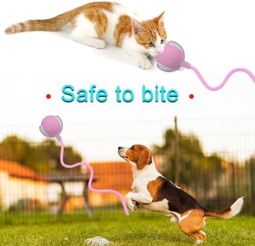 Interactive Cat Dog Toy Ball: Indoor Automatic Moving Smart Rolling Fun Pet Game with Led Light and Tail for Motion Activated, Kitten Puppy Present, Chase Exercise, Hunting Simulation-Upgrade (Pink)