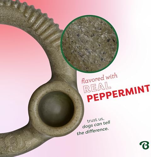 Benebone Ring Dog Chew Toy for Aggressive Chewers, Peppermint, Small