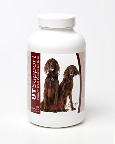 Healthy Breeds Irish Setter Cranberry Chewables 75 Count