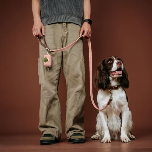 Didog PU Leather Dog Poop Bag Holder, Easy-Pull with Metal Clip, Pink