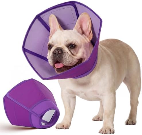 Allroaring Dog Recovery Cone Waterproof Plastic Elizabethan Collar Purple M