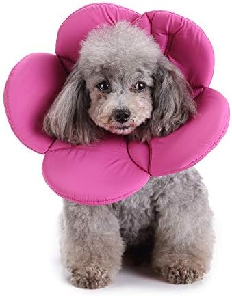 Dog Cone E-Collar Flower Soft Elizabethan Waterproof Grooming Recovery Protective Adjustable Collar for Puppy Small Medium Dogs (S Neck:9-11in, Purple)