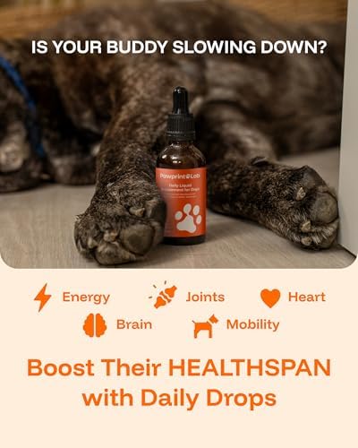 Dog Longevity Supplement NAD+ & NMN - Joint Health, Vitality & Healthy Aging - Nano liposomal Technology - Easy to Give Every Day - Better Absorption - Resveratrol - CoQ10