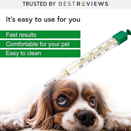 Dog Temperature Meter Double Scales Waterproof