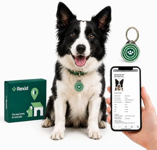 RexID Round Smart Dog Tag 2 Pack – QR Code ID Tag with Online Profile & Owner Contact – Anyone Anywhere Scan Instantly to Reunite – 1.18'' Lightweight & Noise-Free for Dog&Cat