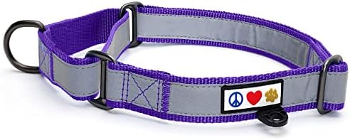 Pawtitas Personalized Dog Collar Martingale Dog Collar with Name Phone Number Reflective Martingale Dog Collar Customized Collar for Large Dogs | Purple Custom Dog Collars for Large Dogs