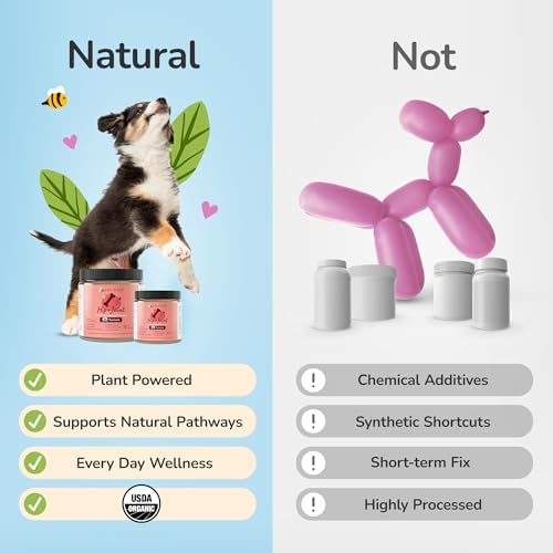 kin+kind Organic Turmeric Hip and Joint Supplement for Dogs and Cats – Supports Healthy Joint Mobility and Inflammatory Response – Vet Formulated – 3x8 oz