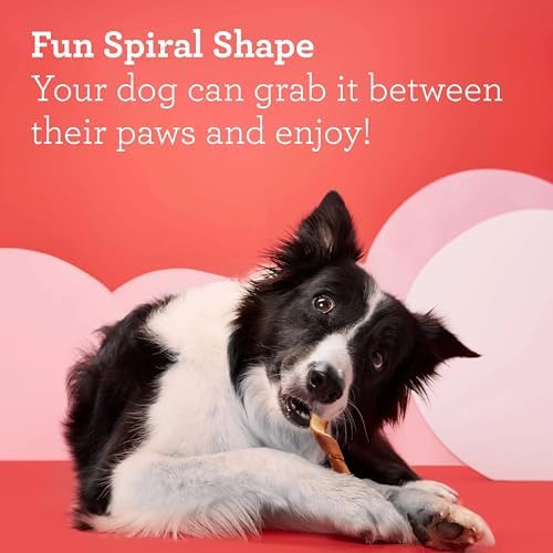 DreamBone Spirals Variety Pack Rawhide-Free Dog Treats, 32 Count