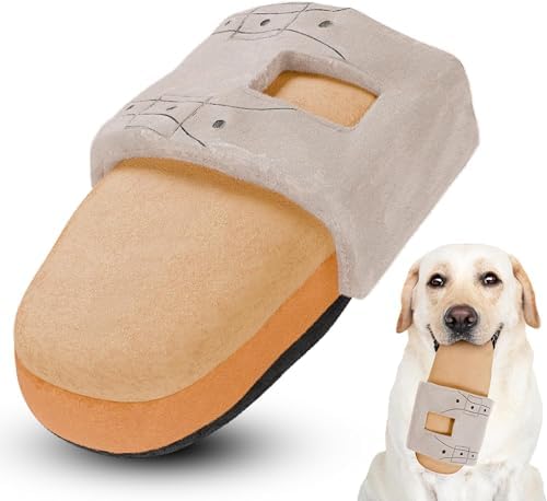 Shoe Parody Dog Toy – Funny Crinkle & Squeaky Dog Toys for Interactive Play and Training – Durable, Easy to Clean, Birthday Gifts for Small, Medium and Large Dogs