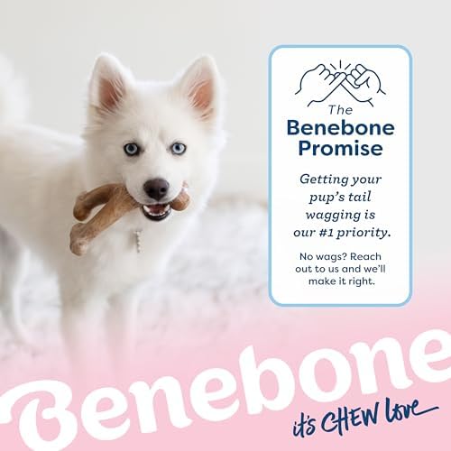 Benebone Puppy Wishbone Dog Chew Toy for Gentle Chewers, Real Bacon, Medium