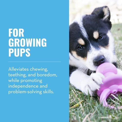 KONG Puppy Binkie - Pacifier Dog Toy for Puppies - Stuffable Treat Chew Toy for Treats - Durable Natural Rubber for Teething Puppy - for Small Puppies - Pink (Pack of 3)