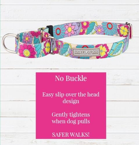 Lucky Love Dog Martingale Collar for Large Dogs No Slip – Caroline, Large