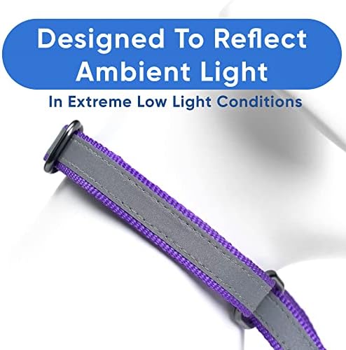 Pawtitas Purple Reflective Martingale Dog Collar, Medium