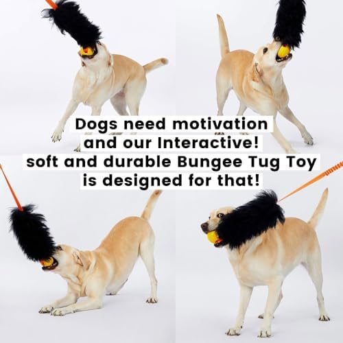 HOWGO Bungee Dog Toy, 100% Sheepskin Tug Rope (Orange, Long w/o Ball)