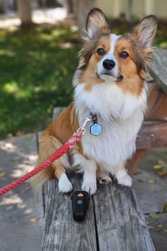 Ultrasonic Dog Bark Deterrent & Behavior Corrector - Stop Barking, Jumping, Aggression Without Yelling - Just Point & Press! Backed by Kevin Harrington from Shark Tank (Black Rechargeable)
