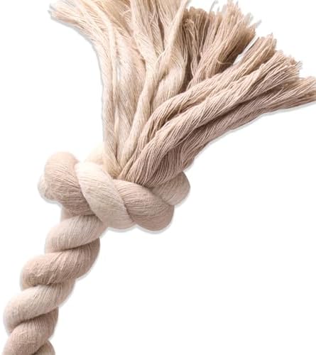 Pet Passion Natural Rubber Tire and Organic Cotton Rope Pull and Chew Dog Toy for All Pet Breeds, Almond Milk, Medium