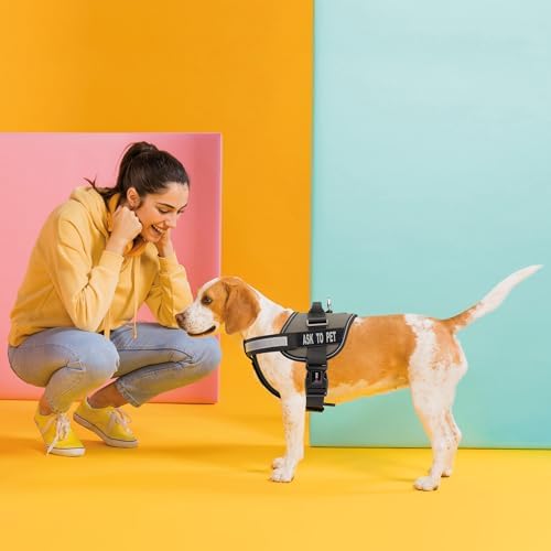 Dogline Ask to Pet Vest Patches – Removable Ask to Pet Patch 2-Pack with Reflective Printed Letters for Support Dog Vest Harness Collar or Leash Size B (1.5" x 4")