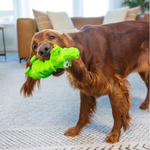 Outward Hound Accordionz Latex Rubber Squeaking Toy - Squeaky and Grunting Dog Toy, Alligator
