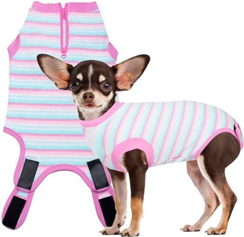 Recovery Suit for Female Dogs, Dog Cone Alternative After Spay
