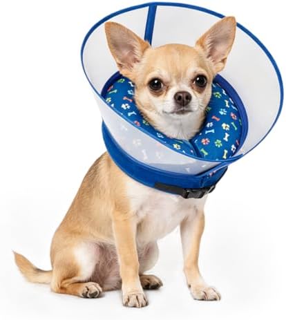 2-in-1 Inflatable Dog Cone Collar, Transparent Anti-Licking Shield with Detachable Soft Padding, Adjustable Elizabethan Collar for Small, Medium, Large Dogs and Cats ( S)