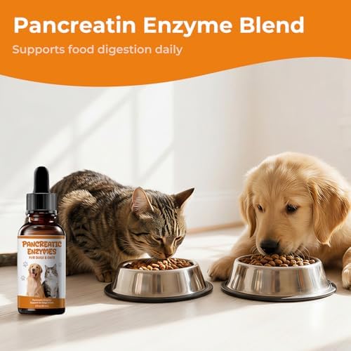 Pancreatic Enzymes for Dogs Drops, Pancreatin Digestive Enzyme for EPI