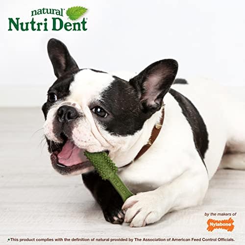 Nylabone Nutri Dent Dog Dental Treats - Natural Dog Teeth Cleaning & Breath Freshener - Dental Treats for Dogs - Fresh Breath Flavor, Medium (40 Count)