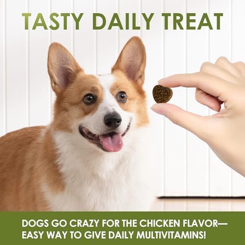 Multivitamin for Dogs, Chicken Flavor, 120 Count