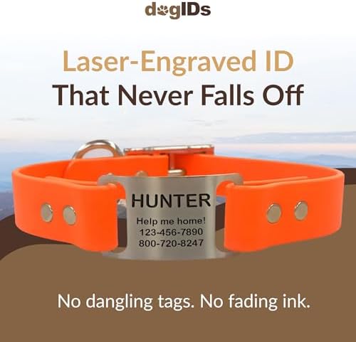 dogIDs Personalized Dog Collar – ScruffTag Custom Waterproof Biothane Dog Collar with Laser-Engraved Name, Durable & Odor-Resistant – USA Made | Blaze Orange, 1 in x 18 in (Fits Neck Sizes 16-20 in)