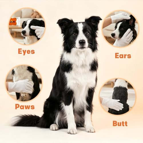 48 Count Pet Glove Wipes for Dogs and Cats, Unscented Dog Bath Gloves, Extra Thick Grooming Wipes for Daily Use, Outdoor Camping and Travel, 6 Count x 8 Pack