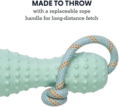 Ruffwear, Gourdo Dog Toy with Rope Handle, Heliotrope Purple, Large