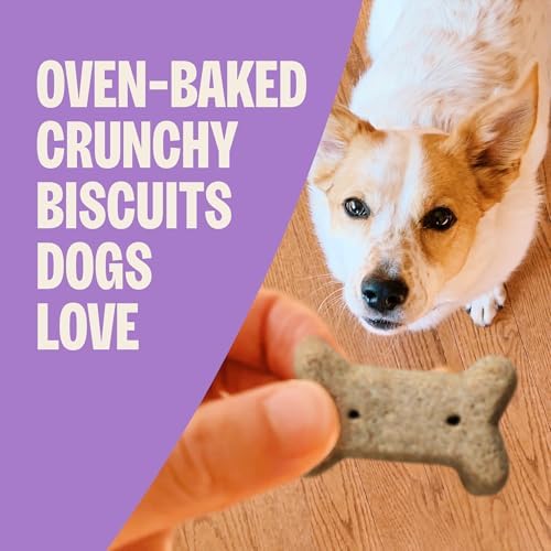 Wellness Old Mother Hubbard Classic Chick'N'Apples Dog Biscuits, Natural Training Treats, Chicken and Apple Flavor, Mini Size, 20 oz Bag