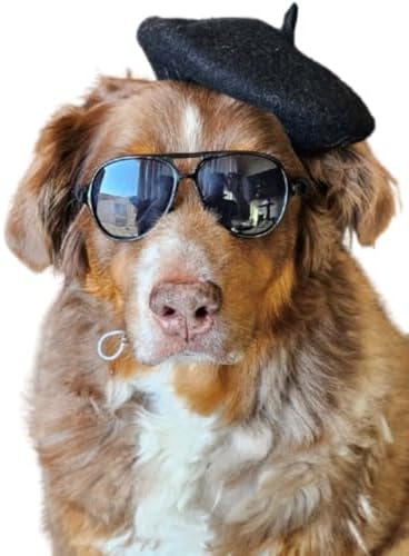 C18 Dog Pet Costume Set Retro Sunglasses Glasses + Beret hat Adjustable for Small-Medium Breeds Approximately 15-40 lbs Party Prop Cosplay Photoshoot (Aviator Black + Black Beret Hat)