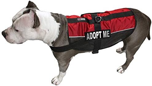 Dogline Adopt Me Patches for Dog Harness, Hook-and-Loop Fastener, Removable, Small/Medium