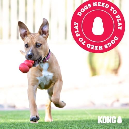 KONG Puppy Binkie, Natural Rubber Teething Toy, for Medium Puppies, Blue