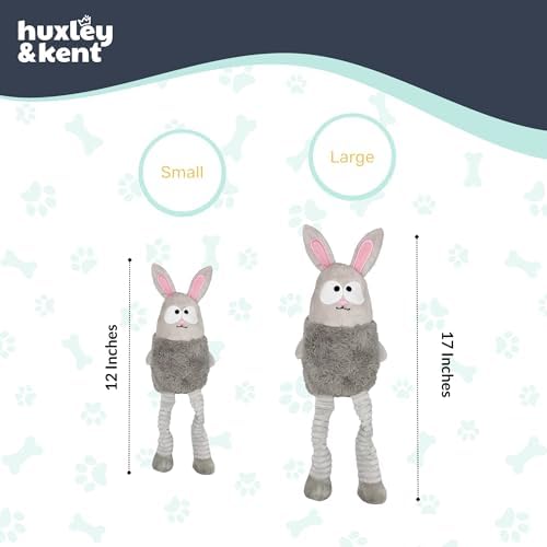 Huxley & Kent Funny Dog Toy w/Squeaker – Power Plush Squeaky Dog Toys for Small, Medium & Large Dogs – Soft Stuffed Animal for Indoor Play & Fetch - Squeak to Crunch - Lankies Binky Bunny, Small