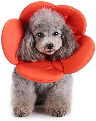 Dog Cone E-Collar Flower Soft Elizabethan Waterproof Grooming Recovery Protective Adjustable Collar for Puppy Small Medium Dogs (S Neck:9-11in, Orange)