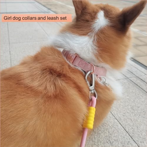 Rose Gold Dog Collar with Quick Release Buckle - Adjustable Soft Padded Nylon Pet Collar with ID Tag Ring for Small Medium Dogs, Comfortable & Durable Training Collar (Purple, Small)